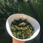 How to make kale chips