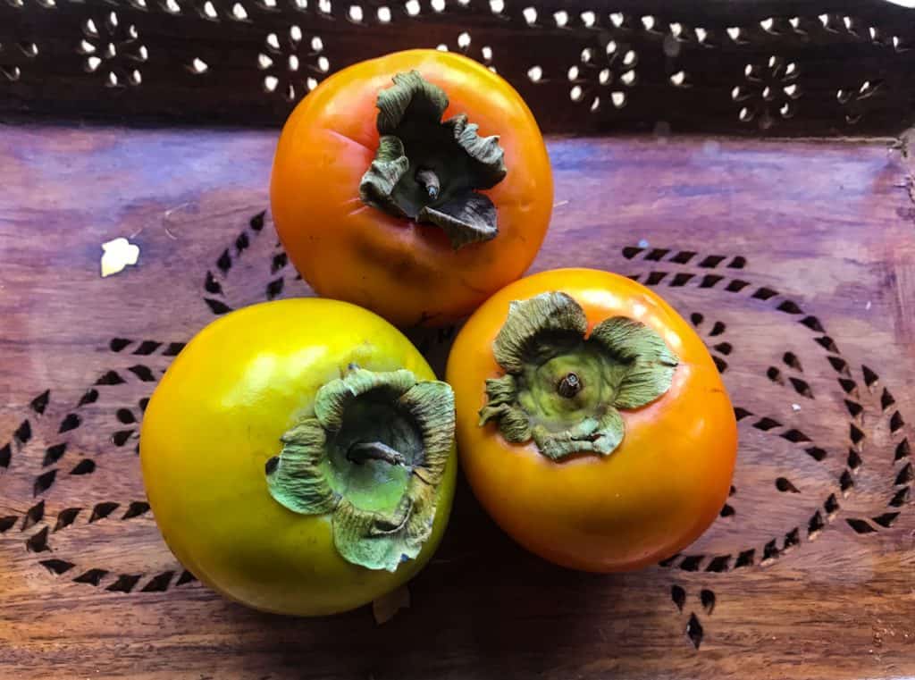 Persimmon Hachiya